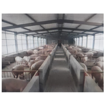 China low cost prefabricated light steel pig farm house construction shed